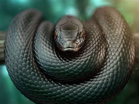 wallpaper snake black mamba.